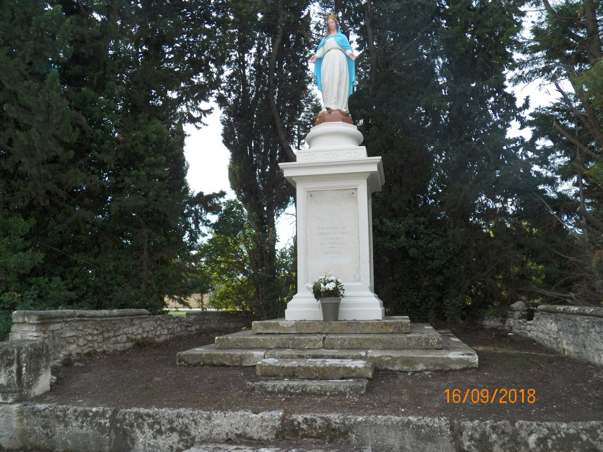 20180916 (135)